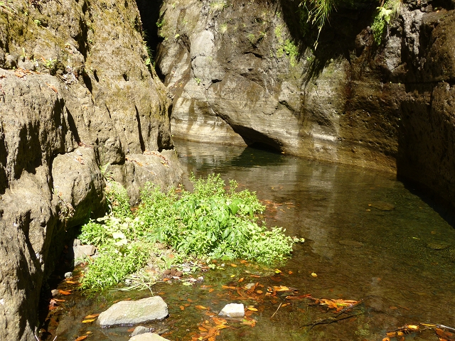 Levada da Serra do Faial — Verlauf in der Ribeira Seca — Foto 5