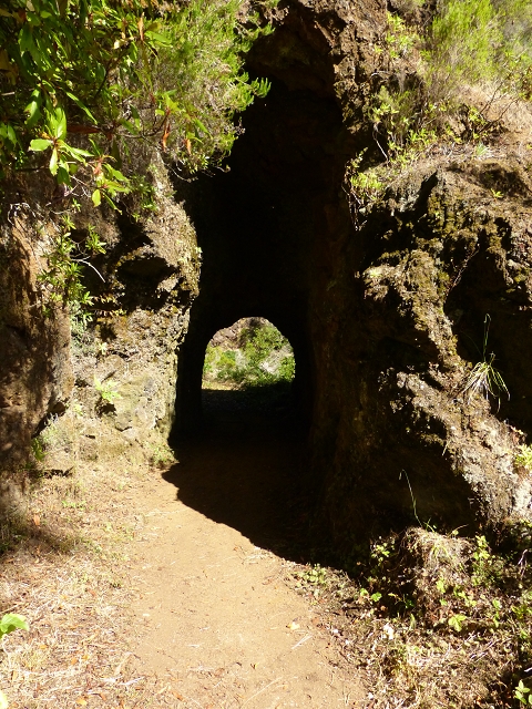 Levada da Serra do Faial — Weiter durch den S-Tunnel bis zum Ende des Abschnittes 1 — Foto 4