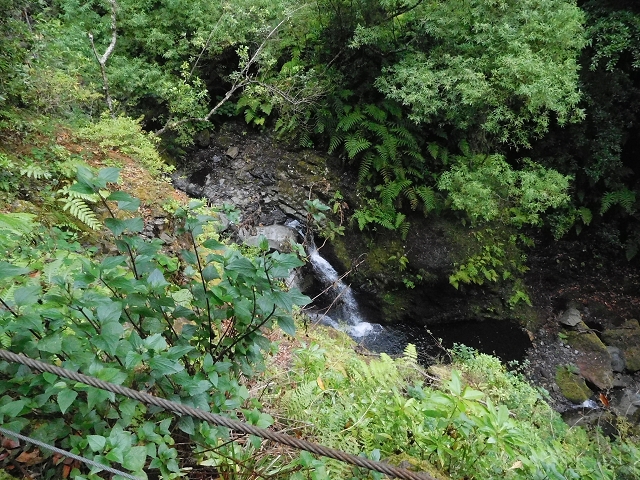 — photo 22