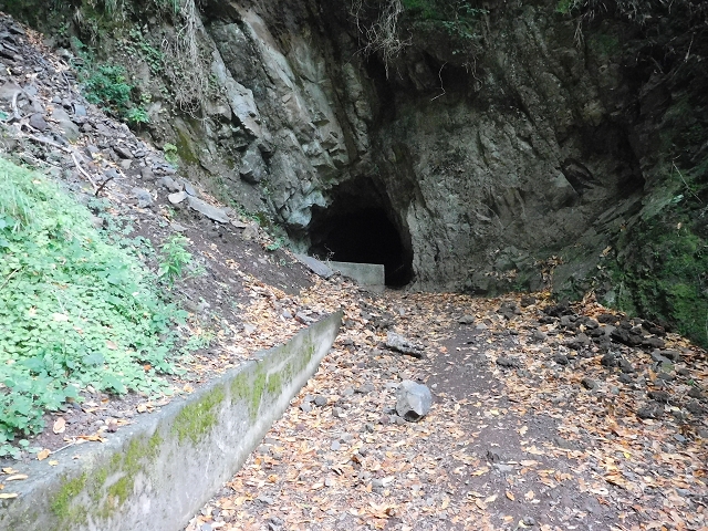 — photo 28