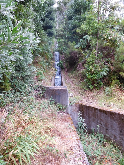 — photo 64