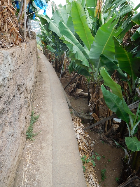 Levada da Fonte do Serrao — On through the banana terraces — photo 1