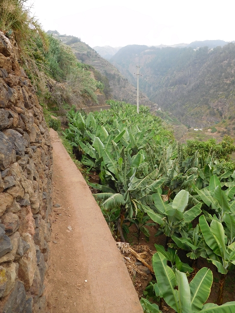 Levada da Fonte do Serrao — On through the banana terraces — photo 10