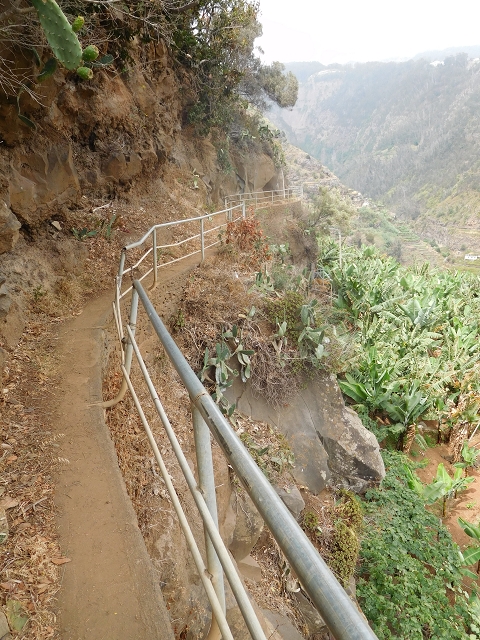 Levada da Fonte do Serrao — On through the banana terraces — photo 13