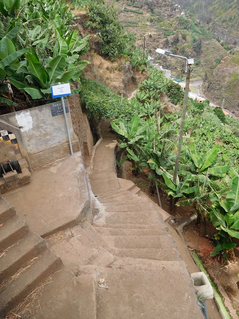 Levada da Fonte do Serrao — On through the banana terraces — photo 14
