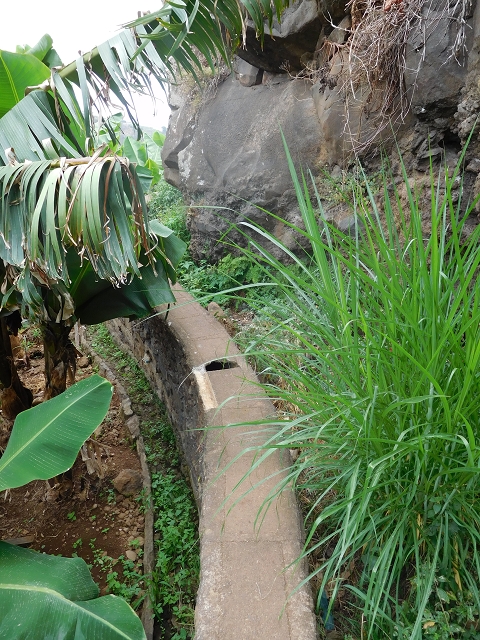 Levada da Fonte do Serrao — On through the banana terraces — photo 17