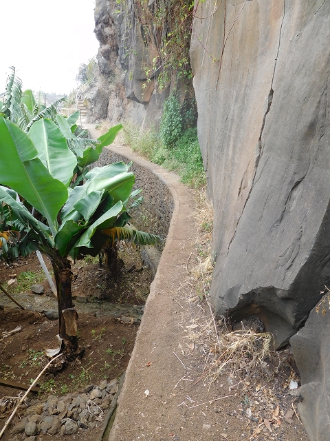 Levada da Fonte do Serrao — On through the banana terraces — photo 19