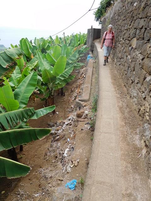 Levada da Fonte do Serrao — On through the banana terraces — photo 5