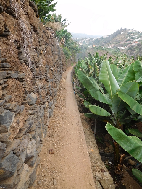 Levada da Fonte do Serrao — On through the banana terraces — photo 8