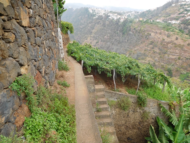 Levada da Fonte do Serrao — On through the banana terraces — photo 9
