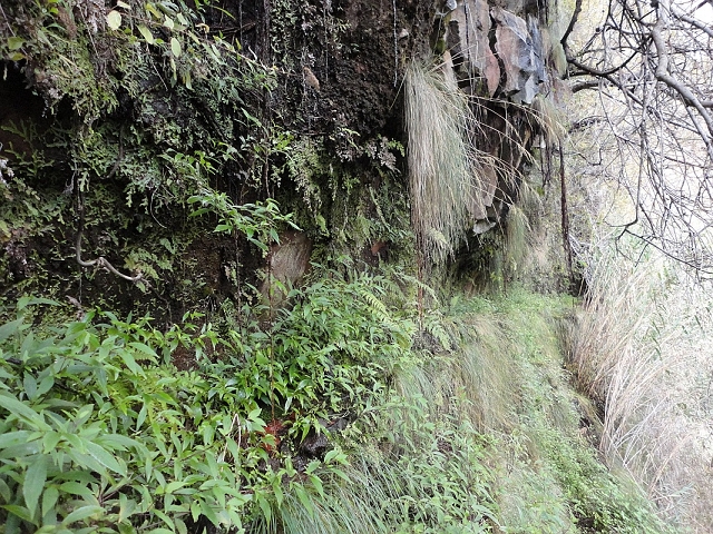 Levada da Fonte do Serrao — Old, inaccessible continuation to the old Madre — photo 1