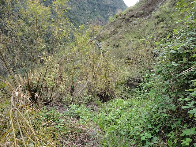 Levada da Fonte do Serrao — On to the small hamlet — photo 2