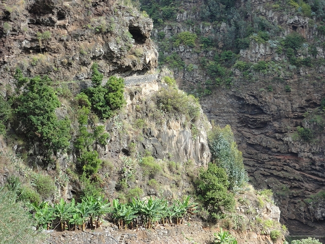 Levada da Fonte do Serrao — To the crossing with the penstock — photo 4