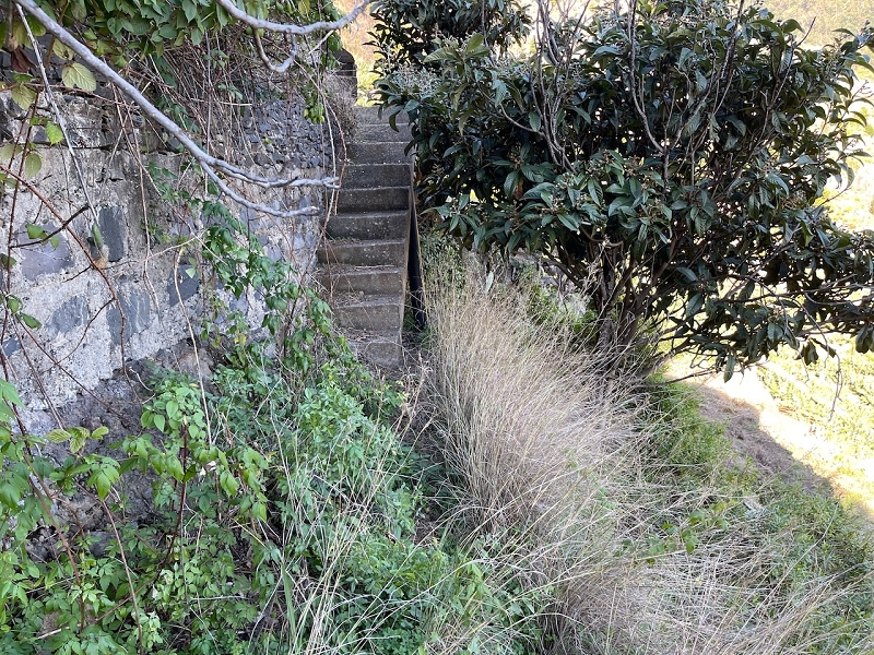 Levada da Fonte do Serrao — The unmaintained stretch between the penstock and the Caminho da Faja — photo 2