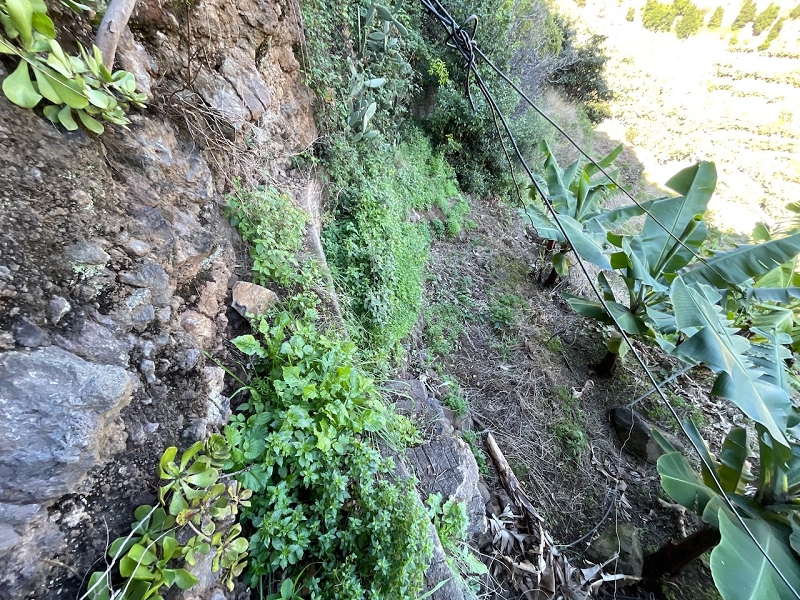 Levada da Fonte do Serrao — The unmaintained stretch between the penstock and the Caminho da Faja — photo 3