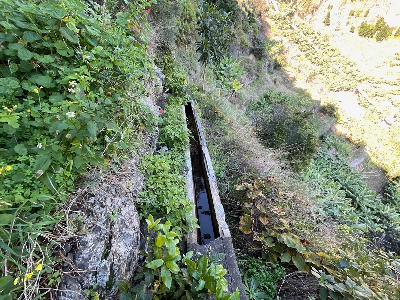 Levada da Fonte do Serrao — The unmaintained stretch between the penstock and the Caminho da Faja — photo 4