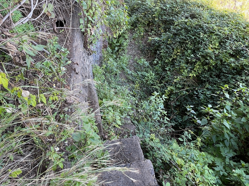 Levada da Fonte do Serrao — The unmaintained stretch between the penstock and the Caminho da Faja — photo 8