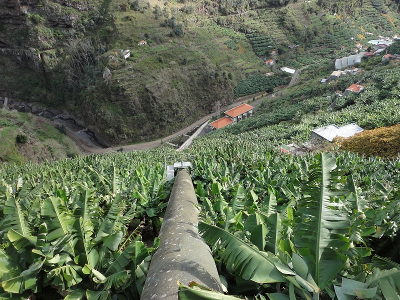 Levada da Fonte do Serrao — Alternative access via the penstock — photo 1