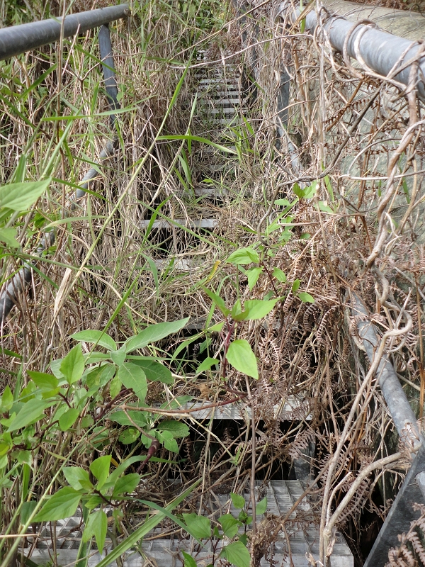 Levada da Fonte do Serrao — Alternative access via the penstock — photo 2