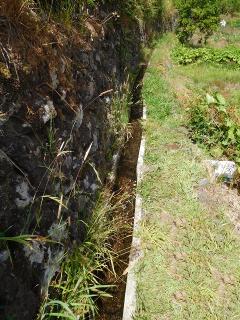 Levada das Ginjas — Abschnitt 2: Von der alten zur aktuellen Madre Abschnitt 2: Von der aktuellen Madre zum Ende — Foto 11