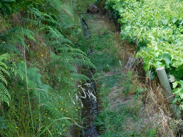 Levada das Ginjas — Abschnitt 2: Von der alten zur aktuellen Madre Abschnitt 2: Von der aktuellen Madre zum Ende — Foto 9