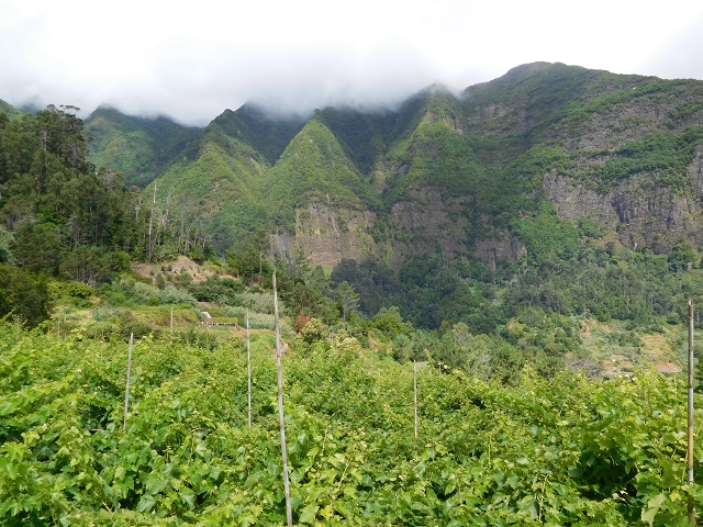 Levada das Ginjas — Abschnitt 2: Von der alten zur aktuellen Madre Abschnitt 2: Von der aktuellen Madre zum Ende — Foto 5