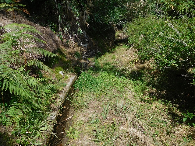 Levada das Ginjas — Abschnitt 2: Von der alten zur aktuellen Madre Abschnitt 2: Von der aktuellen Madre zum Ende — Foto 2
