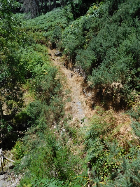 Levada da Morena — Abschnitt 1 — Foto 1