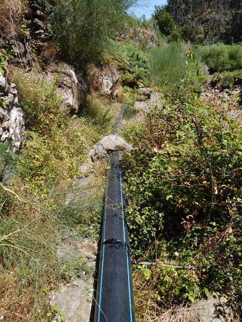Levada da Morena — Abschnitt 1 — Foto 14