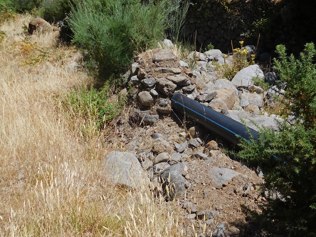 Levada da Morena — Abschnitt 1 — Foto 16