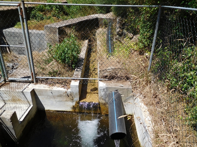 Levada da Morena — Abschnitt 1 — Foto 18