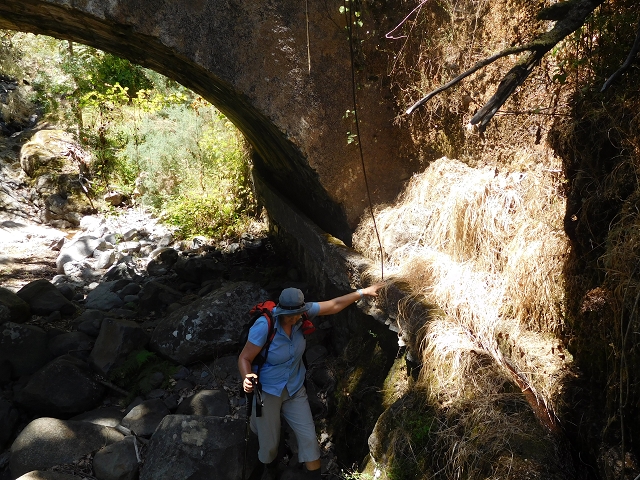 Levada da Morena — Abschnitt 1 — Foto 2