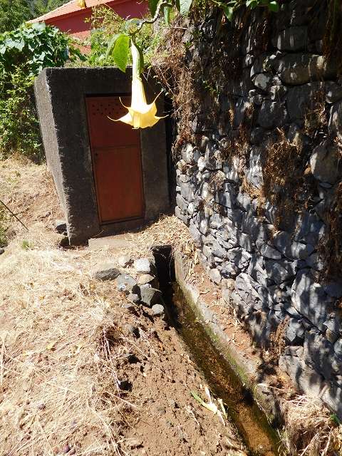Levada da Morena — Abschnitt 2 — Foto 1