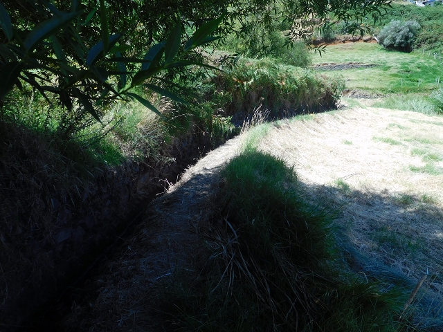 Levada da Morena — Abschnitt 2 — Foto 7