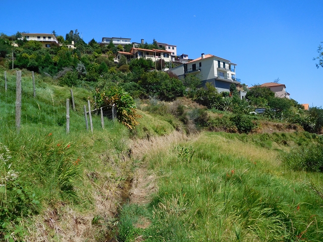 Levada da Morena — Abschnitt 2 — Foto 8