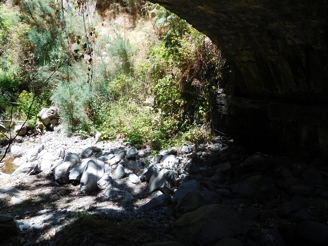 Levada da Morena — Abschnitt 1 — Foto 3