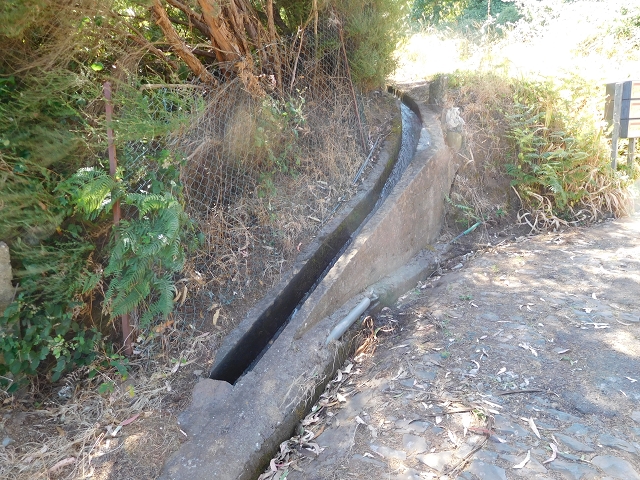 Levada da Morena — Abschnitt 2 — Foto 11