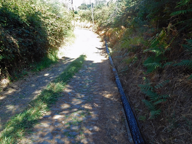 Levada da Morena — Abschnitt 2 — Foto 12