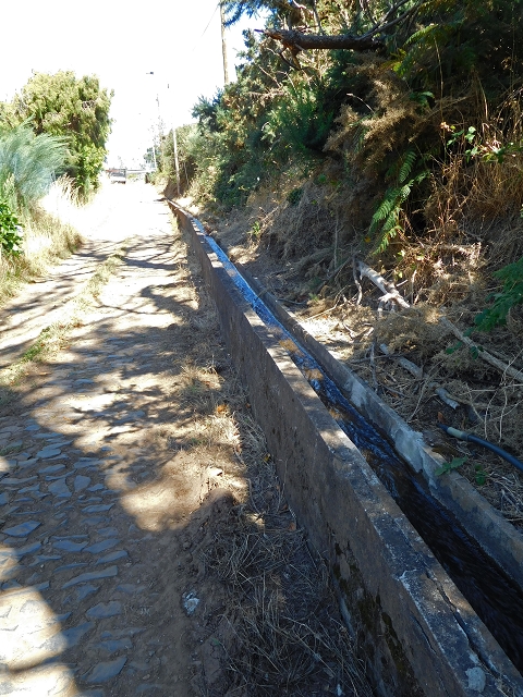 Levada da Morena — Abschnitt 2 — Foto 13