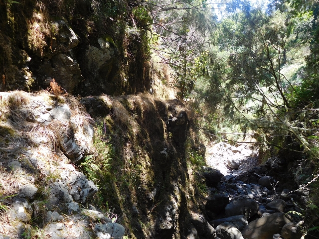 Levada da Morena — Abschnitt 1 — Foto 5