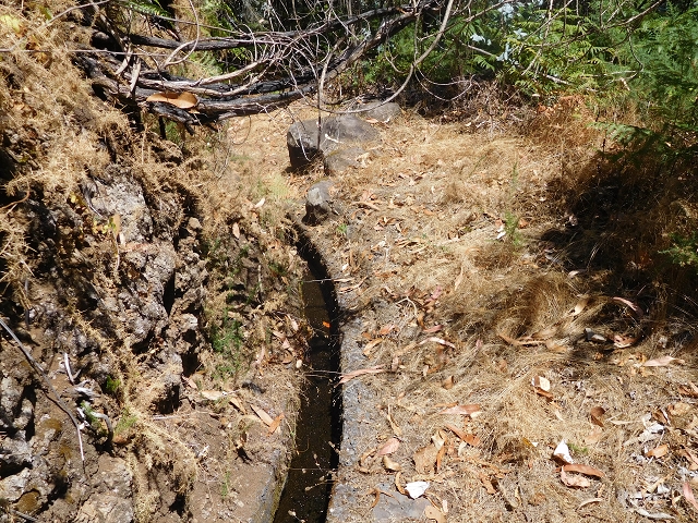 Levada da Morena — Abschnitt 1 — Foto 9