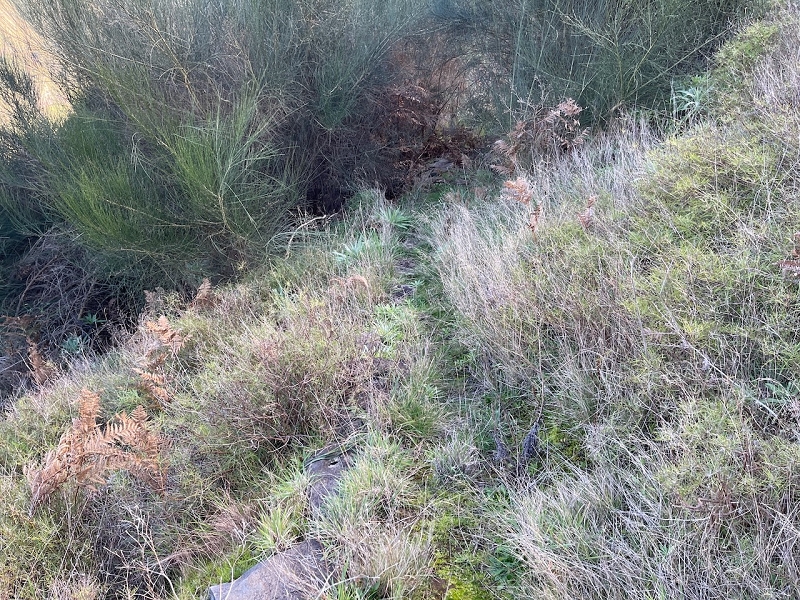 Levada da Negra (e Curral Martinho) — Verrohrter Teil bis zum Verteilerhäuschen — Foto 1