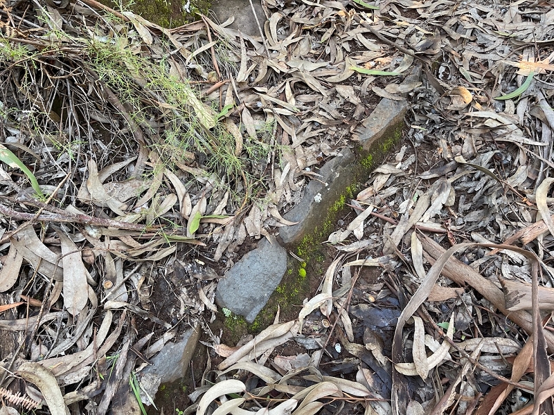 Levada da Negra (e Curral Martinho) — Verrohrter Teil bis zum Verteilerhäuschen — Foto 10