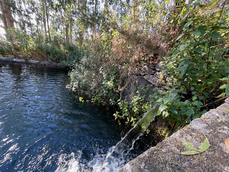 Levada da Negra (e Curral Martinho) — Verrohrter Teil bis zum Verteilerhäuschen — Foto 13
