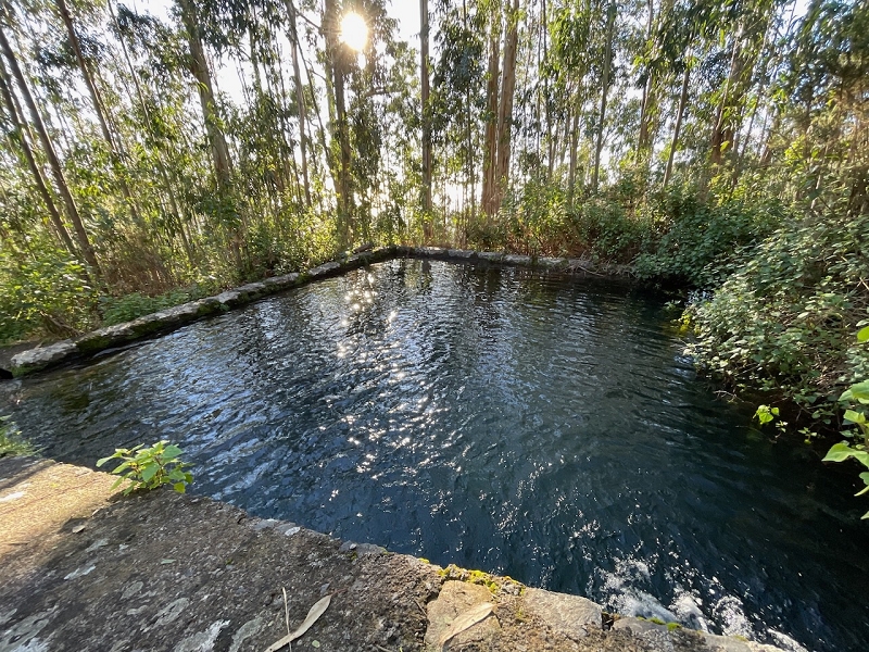 Levada da Negra (e Curral Martinho) — Verrohrter Teil bis zum Verteilerhäuschen — Foto 14