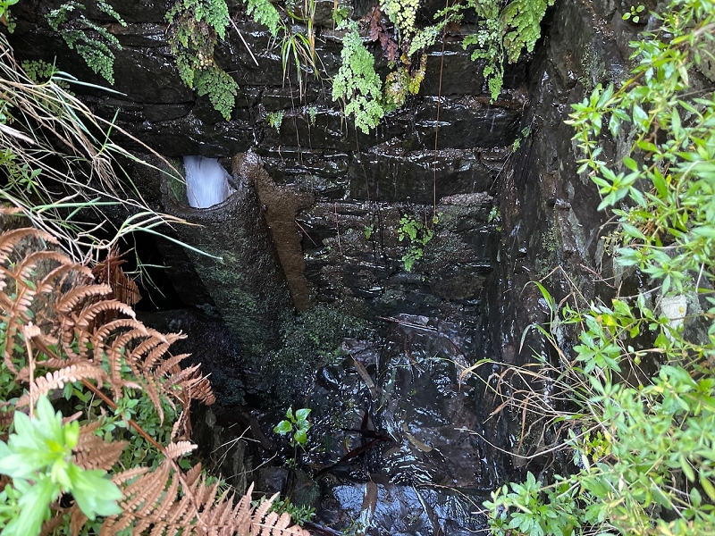 Levada da Negra (e Curral Martinho) — Verrohrter Teil bis zum Verteilerhäuschen — Foto 15