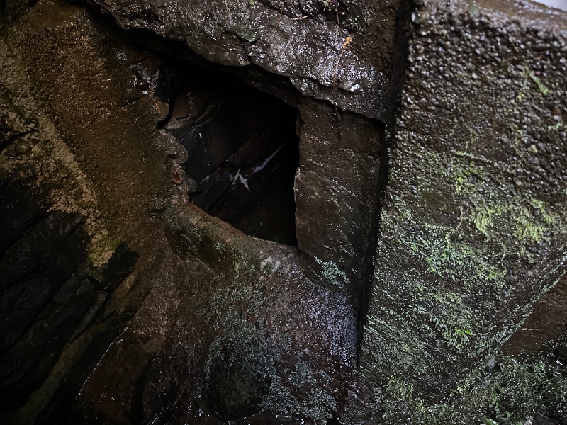 Levada da Negra (e Curral Martinho) — Verrohrter Teil bis zum Verteilerhäuschen — Foto 16