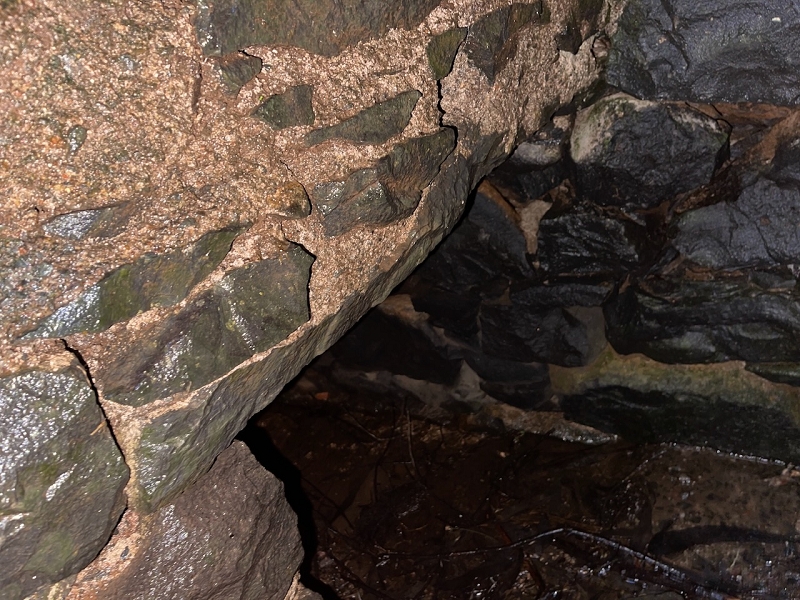 Levada da Negra (e Curral Martinho) — Verrohrter Teil bis zum Verteilerhäuschen — Foto 17