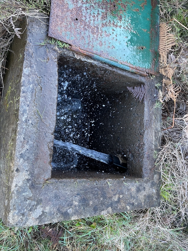Levada da Negra (e Curral Martinho) — Verrohrter Teil bis zum Verteilerhäuschen — Foto 2