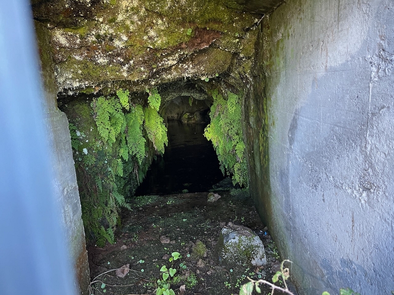 Levada da Negra (e Curral Martinho) — Verrohrter Teil bis zum Verteilerhäuschen — Foto 4